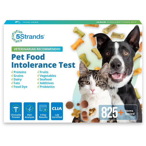 Pet Food Intolerance Test