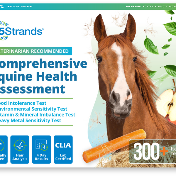 Comprehensive Equine Intolerance & Imbalance Test