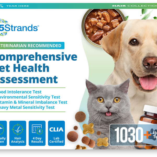 Comprehensive Pet Health Assessment