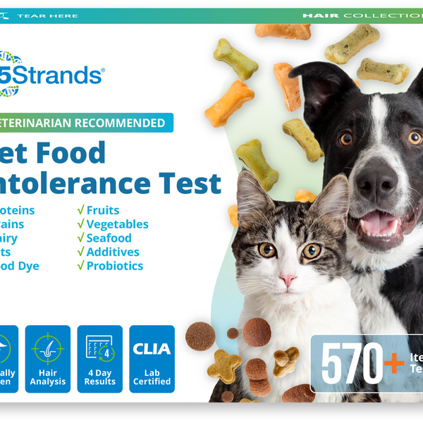 Pet Food Intolerance Test