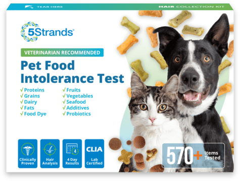 Pet Food Intolerance Test 5Strands - Main Image