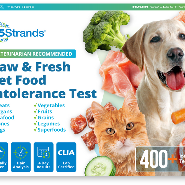 Pet Raw & Fresh Food Intolerance Test