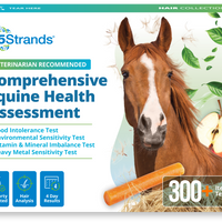 Comprehensive Equine Intolerance & Imbalance Test