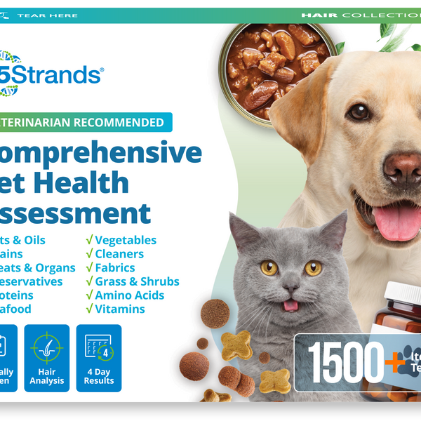 Comprehensive Pet Health Assessment