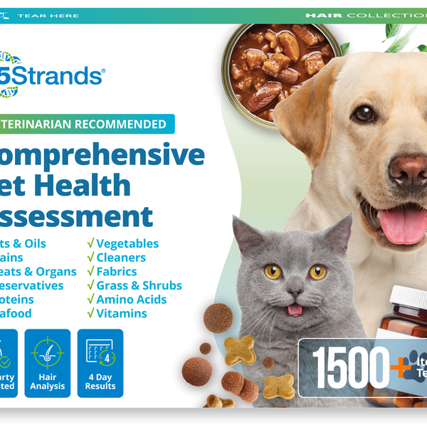 Comprehensive Pet Health Assessment