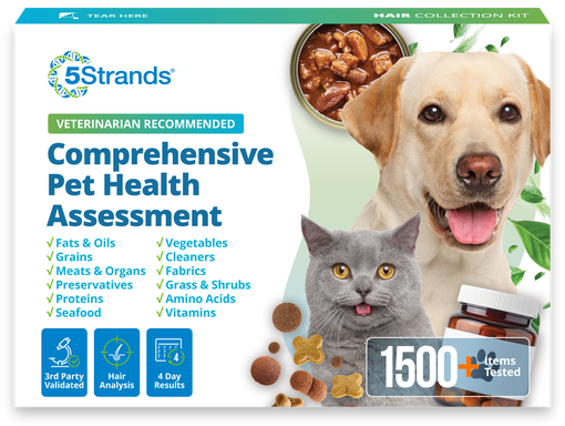 Comprehensive Pet Health Assessment