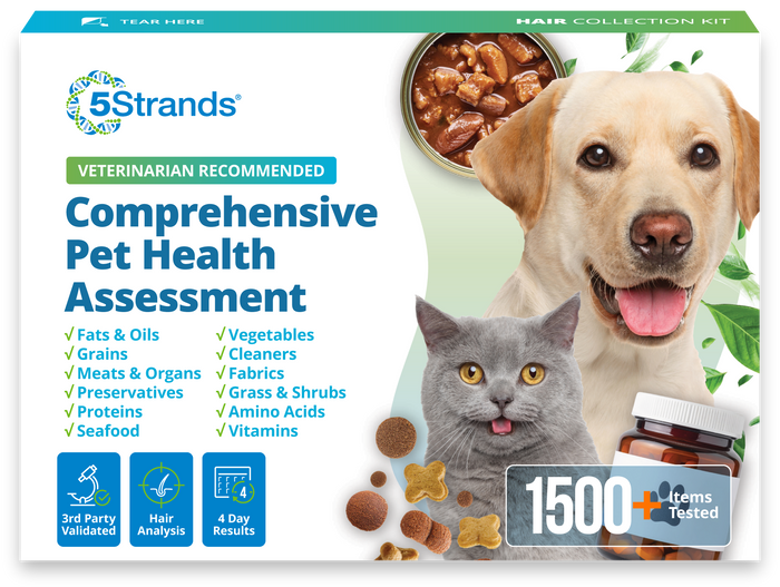 Comprehensive Pet Health Assessment
