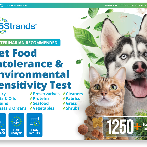 Pet Food Intolerance & Environmental Sensitivity Test
