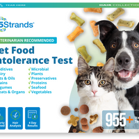 Pet Food Intolerance Test