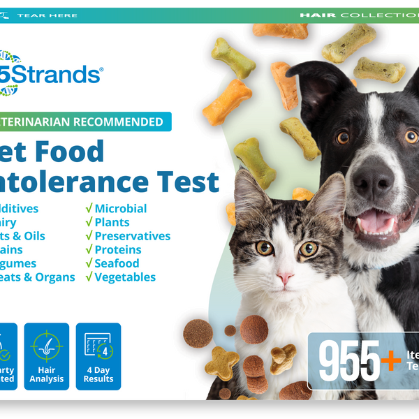 Pet Food Intolerance Test