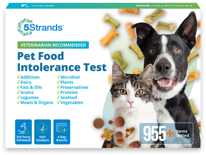 Pet Food Intolerance Test