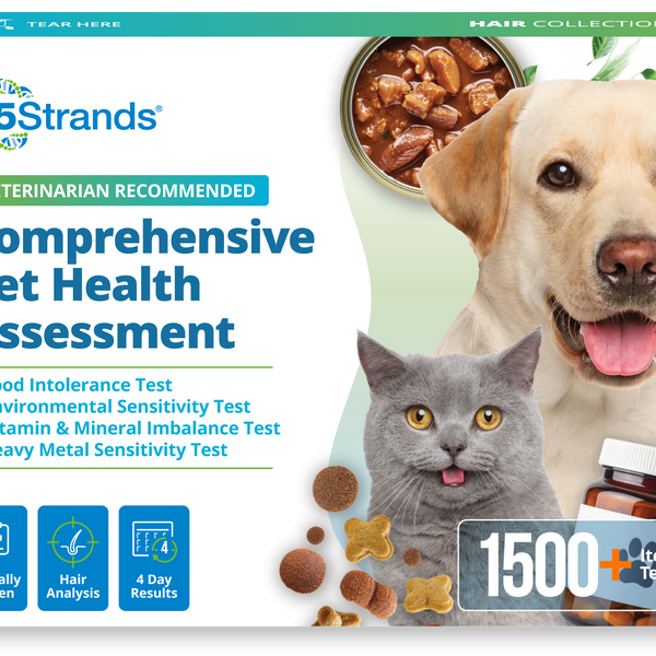 Comprehensive Pet Health Assessment