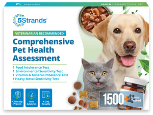 Comprehensive Pet Health Assessment