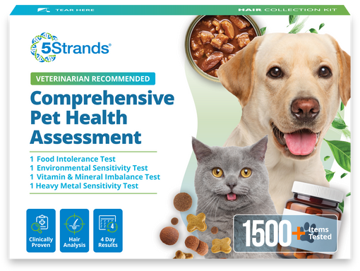 Comprehensive Pet Health Assessment
