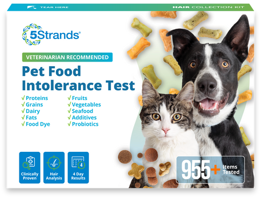 Pet Food Intolerance Test