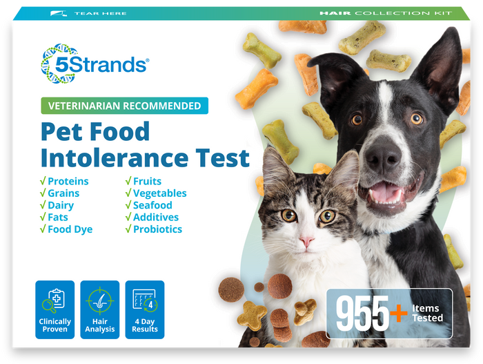 Pet Food Intolerance Test