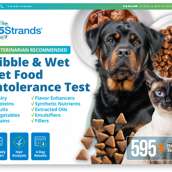Kibble & Wet Pet Food Intolerance Test