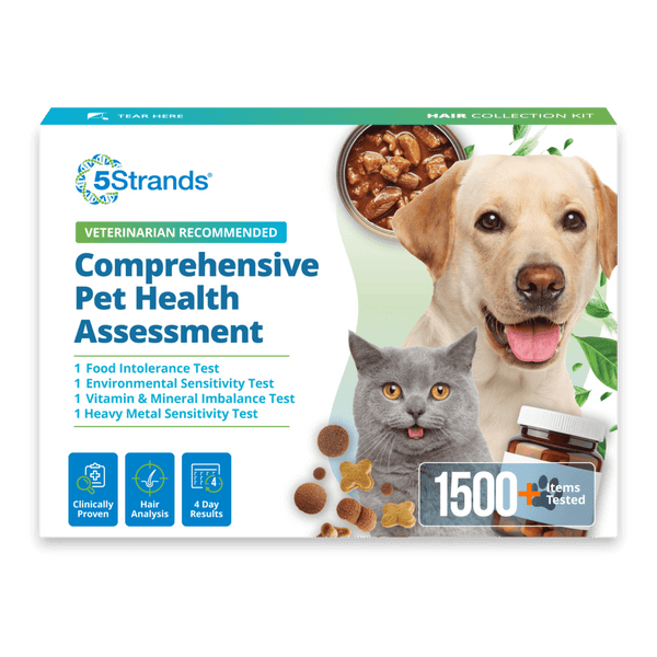 Comprehensive Pet Health Assessment