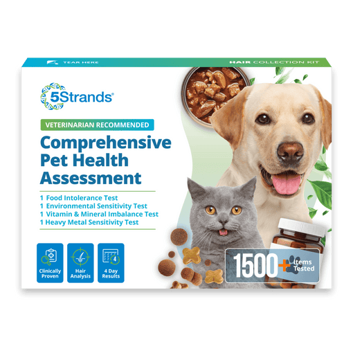 Comprehensive Pet Health Assessment
