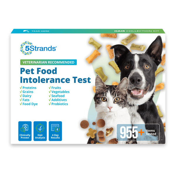 Pet Food Intolerance Test