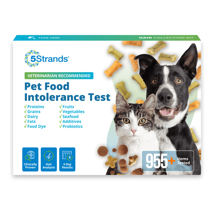 Pet Food Intolerance Test