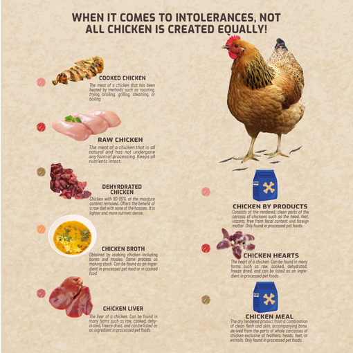 Pet Raw Food Intolerance Test (Digital)