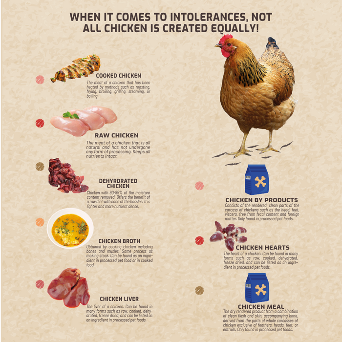 Pet Raw Food Intolerance Test (Digital)