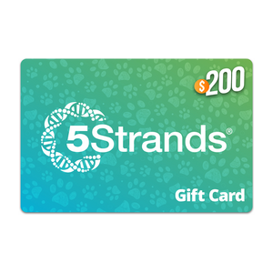 Digital Gift Card
