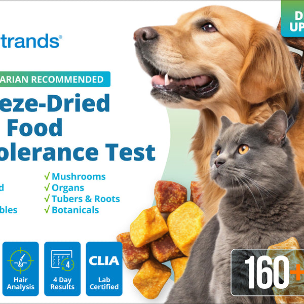 Freeze-Dried Pet Food Intolerance Test (Digital)