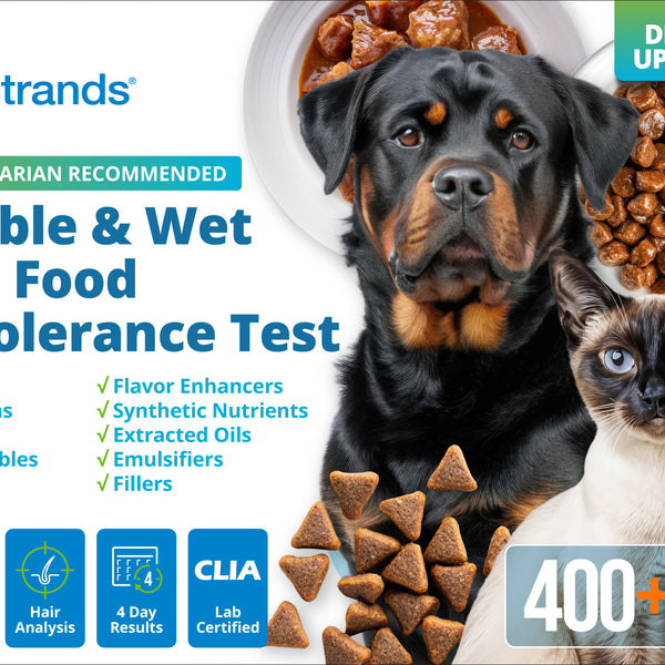 Kibble & Wet Pet Food Intolerance Test (Digital)
