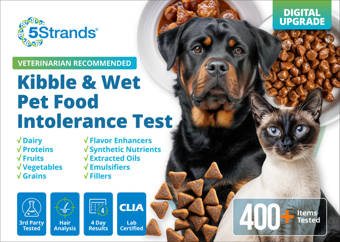Kibble & Wet Pet Food Intolerance Test (Digital)
