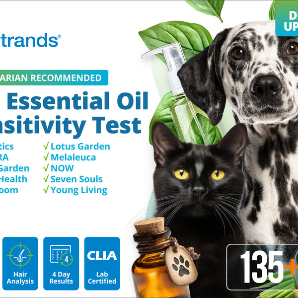 Pet Essential Oil Sensitivity Test (Digital)