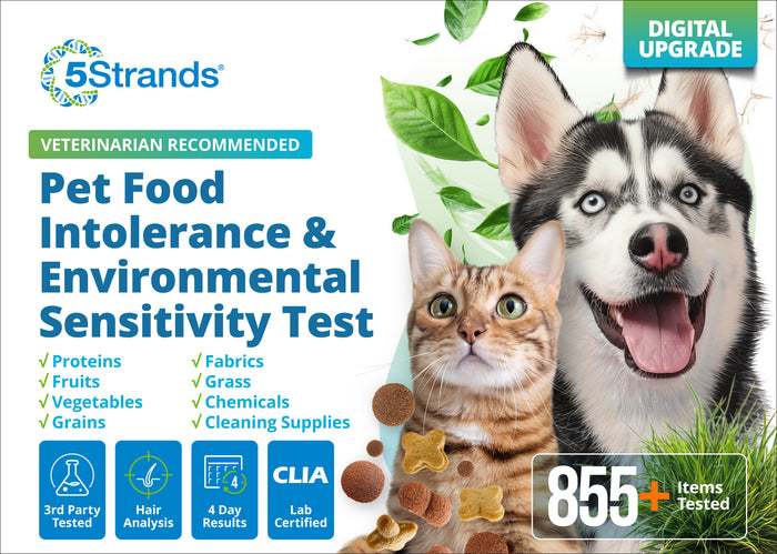 Pet Food Intolerance & Environmental Sensitivity Test (Digital)