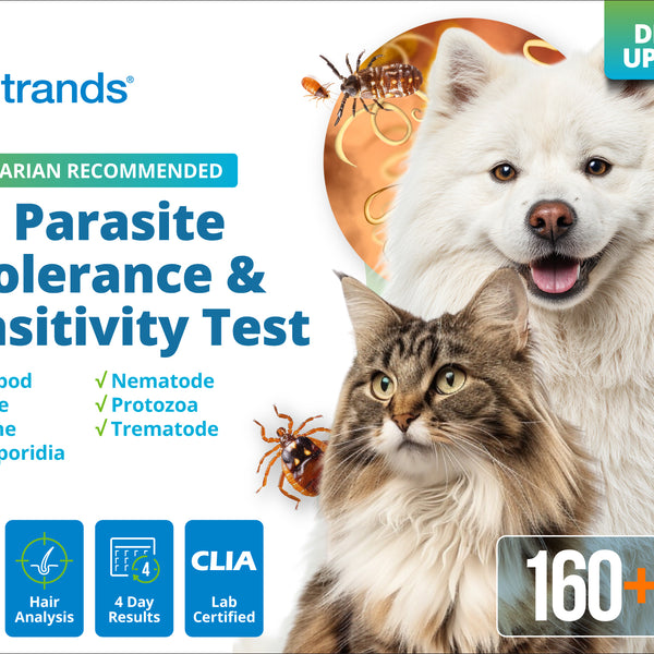 Pet Parasite Intolerance & Sensitivity Test (Digital)