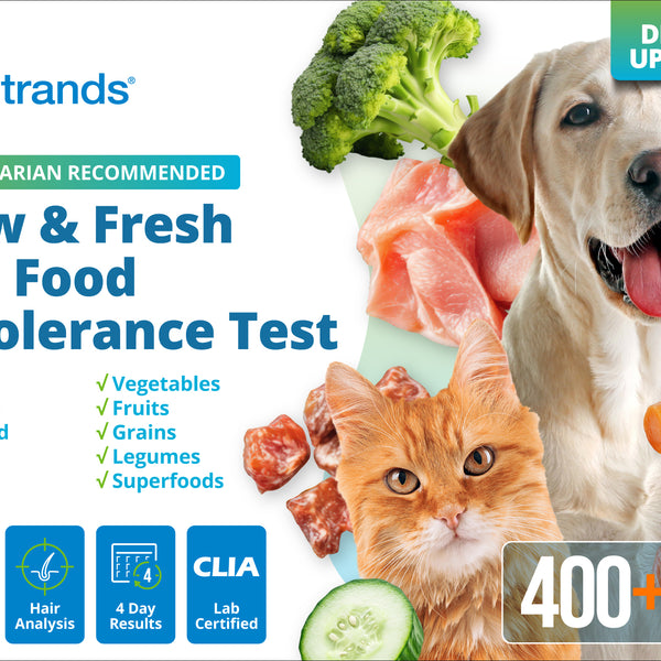 Pet Raw & Fresh Food Intolerance Test (Digital)