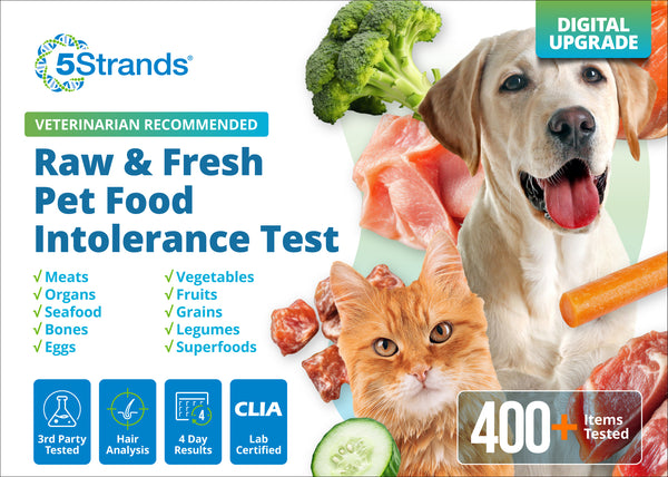 Pet Raw & Fresh Food Intolerance Test (Digital)