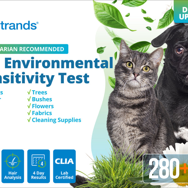 Pet Environmental Sensitivity Test (Digital)