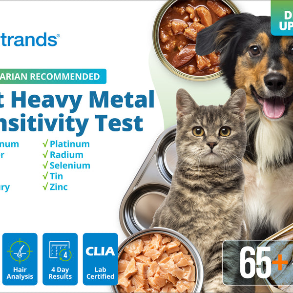Pet Heavy Metal Sensitivity Test (Digital)