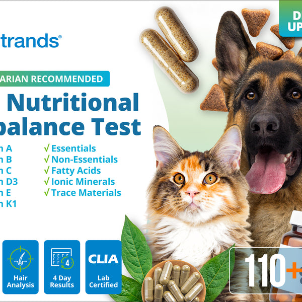 Pet Nutritional Imbalance Test (Digital)