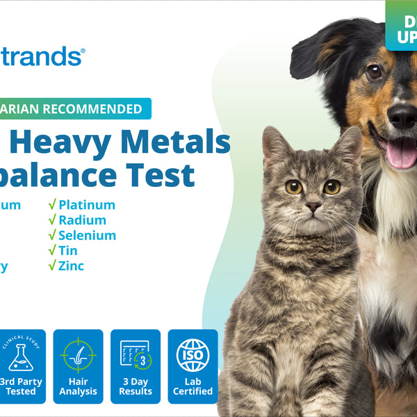 Pet Heavy Metals & Minerals Imbalance Test (Digital)