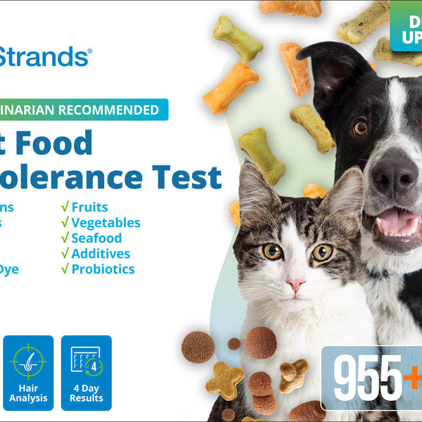 Pet Food Intolerance Test (Digital)