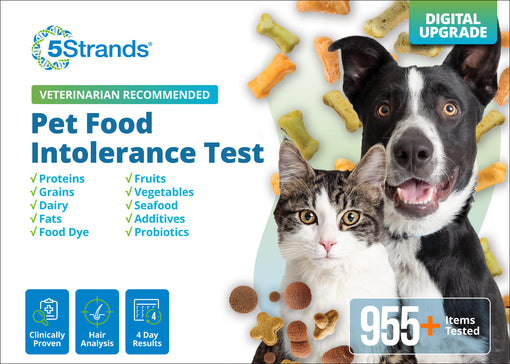 Pet Food Intolerance Test (Digital)