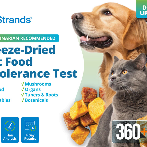 Freeze-Dried Pet Food Intolerance Test (Digital)