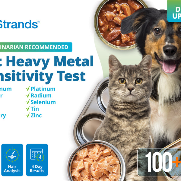 Pet Heavy Metal Sensitivity Test (Digital)