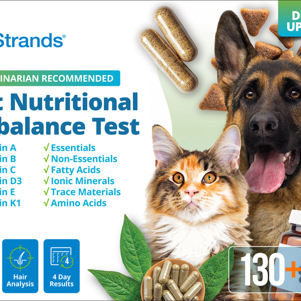 Pet Nutritional Imbalance Test (Digital)
