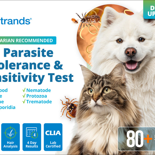 Pet Parasite Intolerance & Sensitivity Test (Digital)