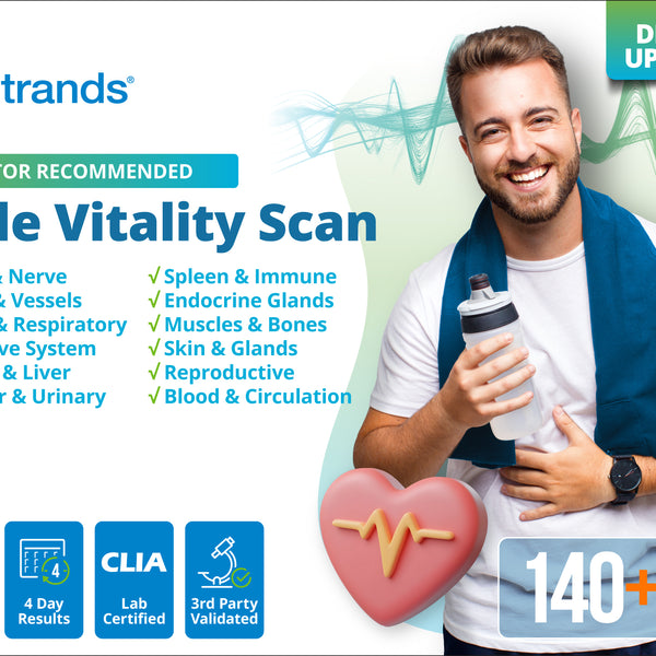 Male Vitality Scan (Digital)