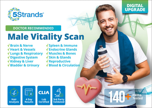 Male Vitality Scan (Digital)