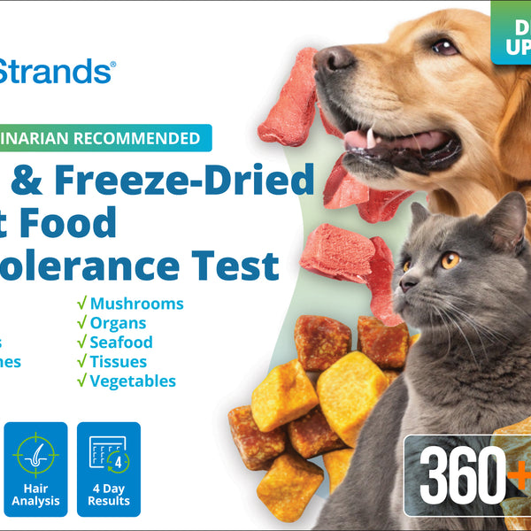 Freeze-Dried Pet Food Intolerance Test (Digital)