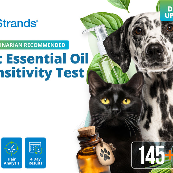 Pet Essential Oil Sensitivity Test (Digital)